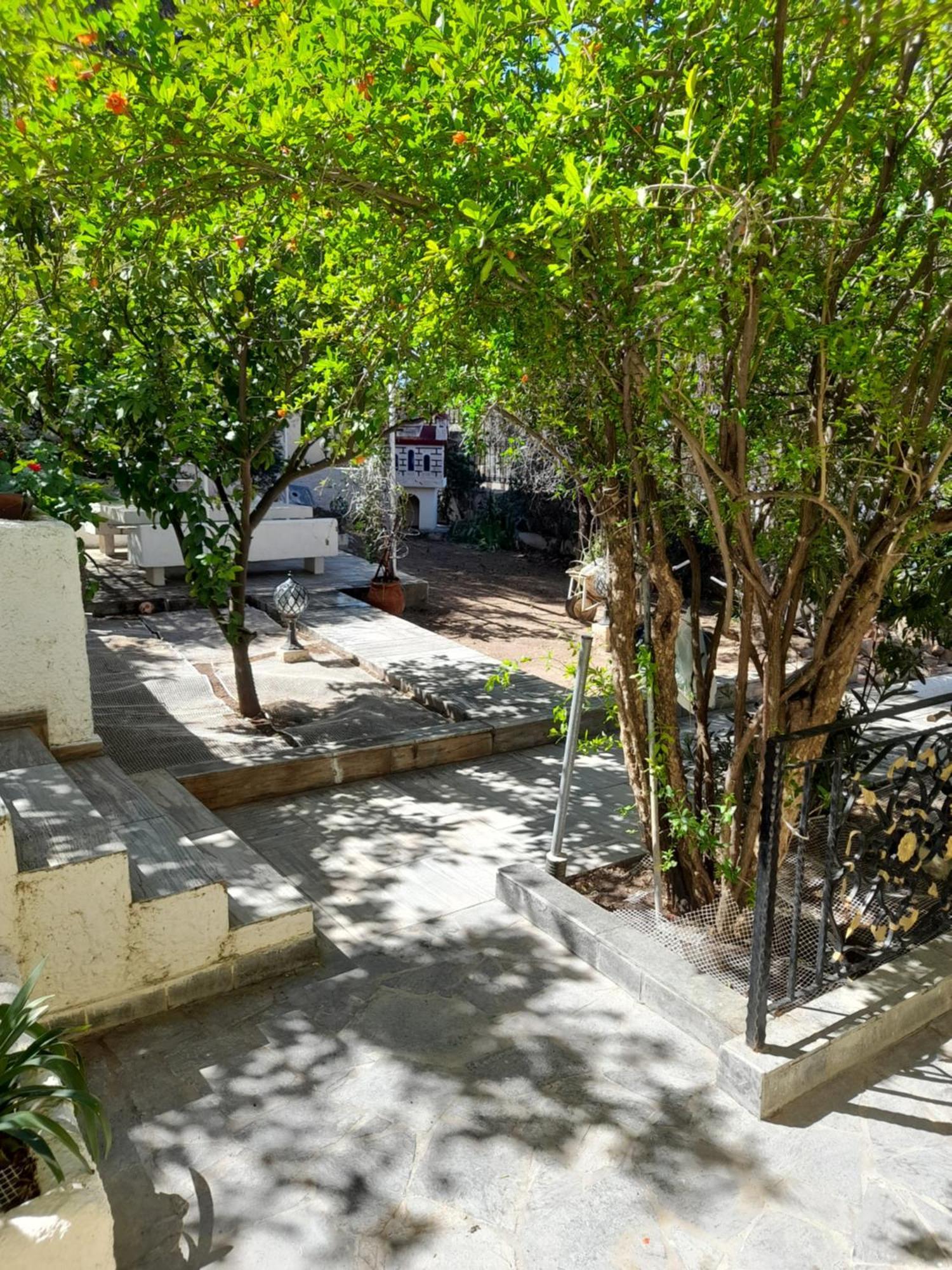 Eginitissa Αίγινα Εξοχική Κατοικία מראה חיצוני תמונה